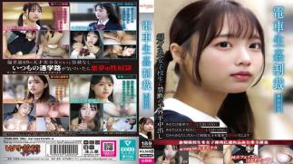 Mosaic YDNS-009 Train Rape Punishment #009